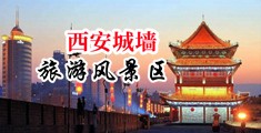 一男子爆操骚逼中国陕西-西安城墙旅游风景区