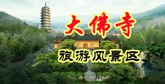可以看免费的美女被操的视频的网站中国浙江-新昌大佛寺旅游风景区